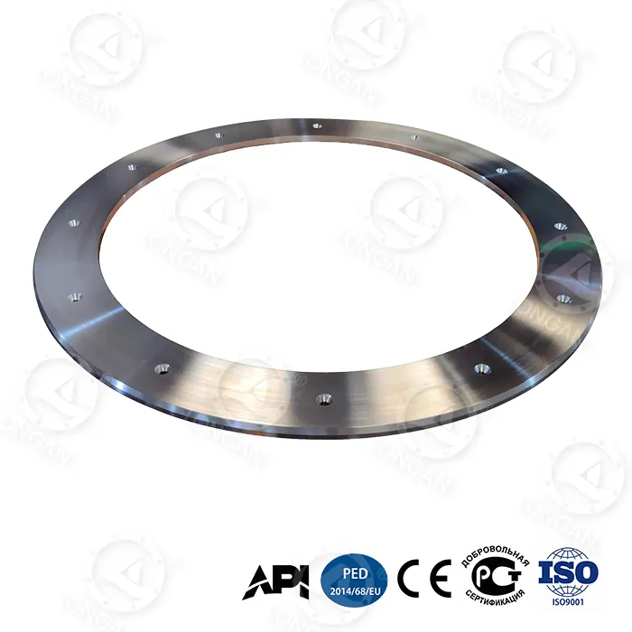 Velika ustna prirobnica